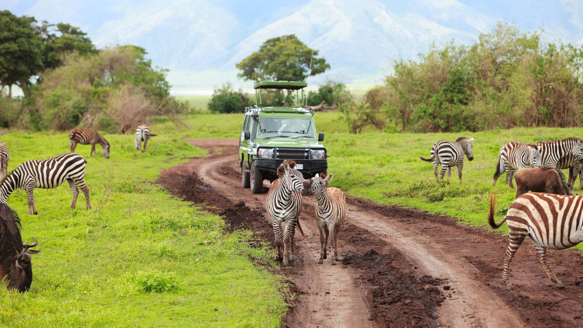 Game Drives